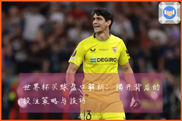 世界杯买球盘口解析：揭开背后的投注策略与技巧