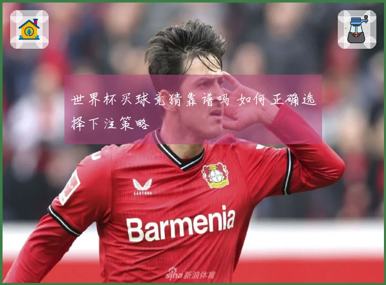 世界杯买球竞猜靠谱吗 如何正确选择下注策略