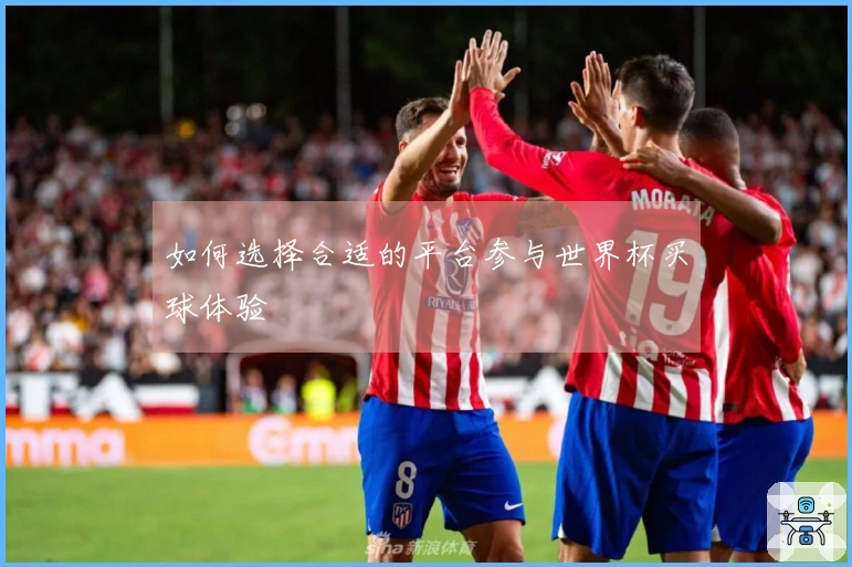 如何选择合适的平台参与世界杯买球体验