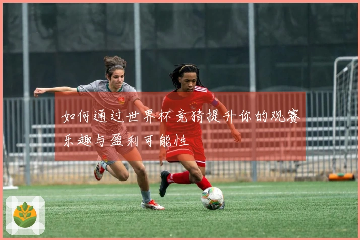 如何通过世界杯竞猜提升你的观赛乐趣与盈利可能性