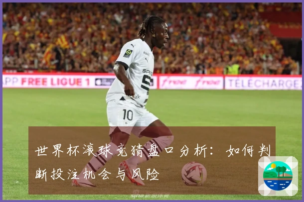 世界杯滚球竞猜盘口分析：如何判断投注机会与风险