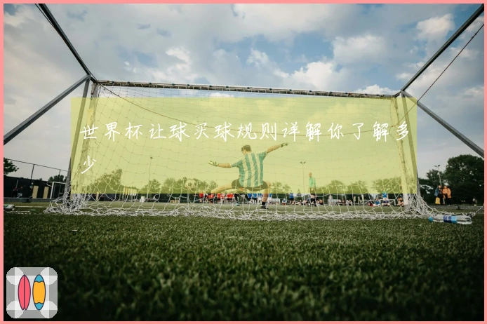 世界杯让球买球规则详解你了解多少