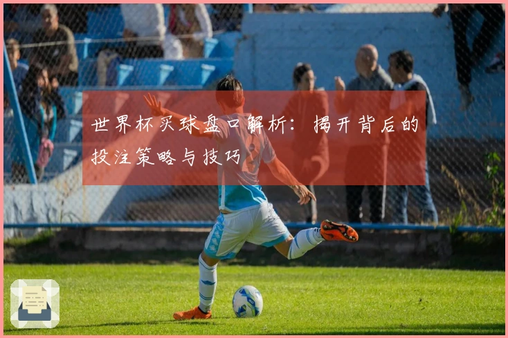 世界杯买球盘口解析：揭开背后的投注策略与技巧