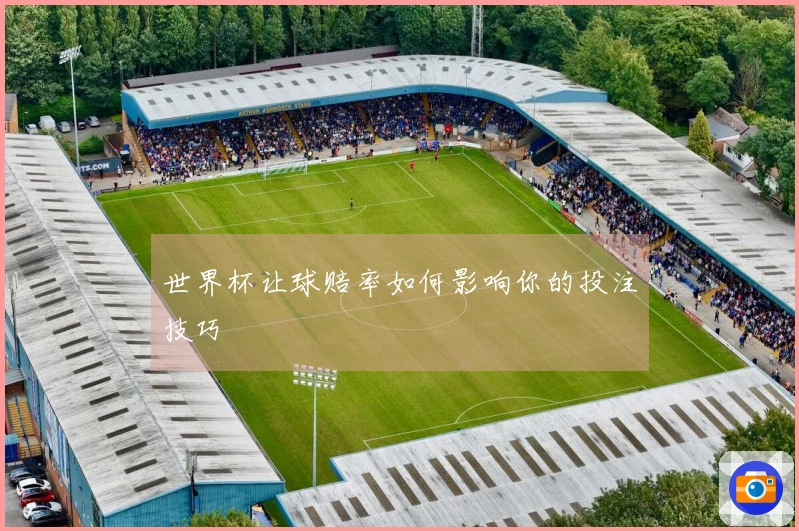 世界杯让球赔率如何影响你的投注技巧