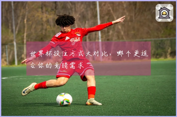 世界杯投注方式大对比，哪个更适合你的竞猜需求