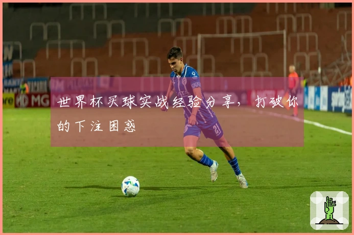世界杯买球实战经验分享，打破你的下注困惑