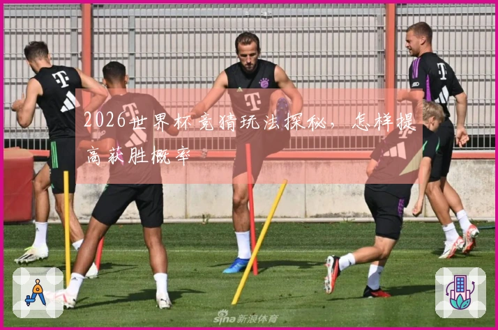 2026世界杯竞猜玩法探秘，怎样提高获胜概率